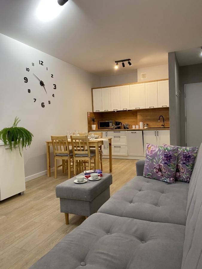Apartament Bieszczadzkie Widoki Ustrzyki Dolne Eksteriør billede